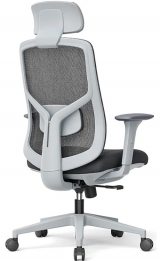 Sitzone YNG CH-523A