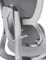 Healthy Chair Fit Plus