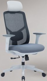 Sitzone YNG CH-523A