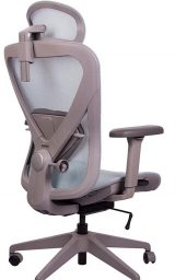 Healthy Chair Q1 Mesh